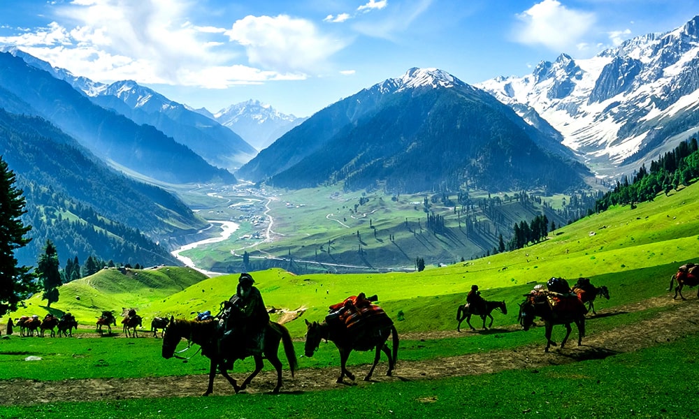 Srinagar Sonmarg Gulmarg Tour